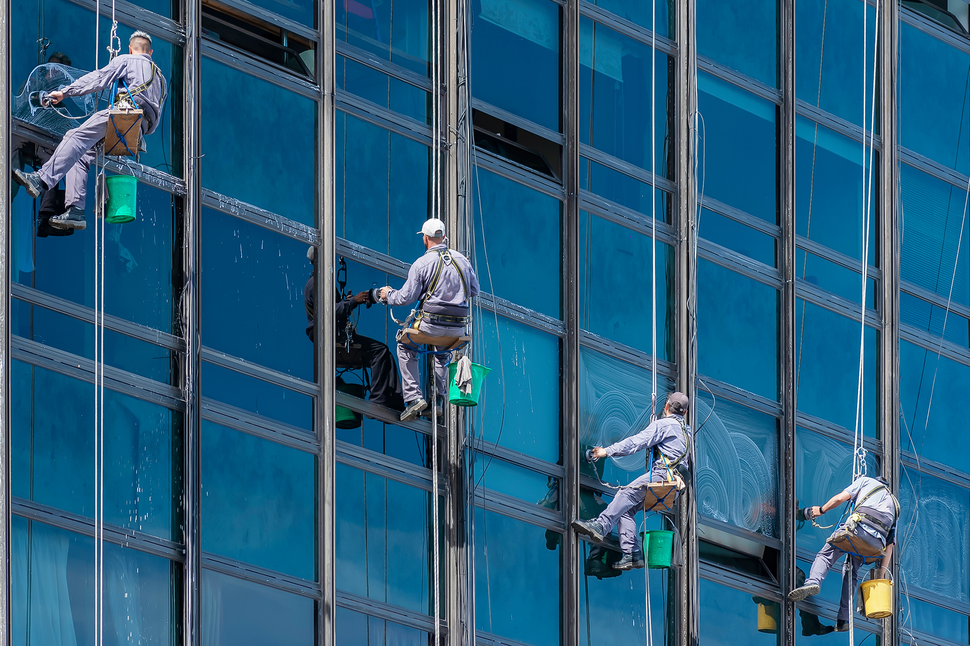 Gebäudereiniger Award Siegel Zertifikat Champion Auszeichnung